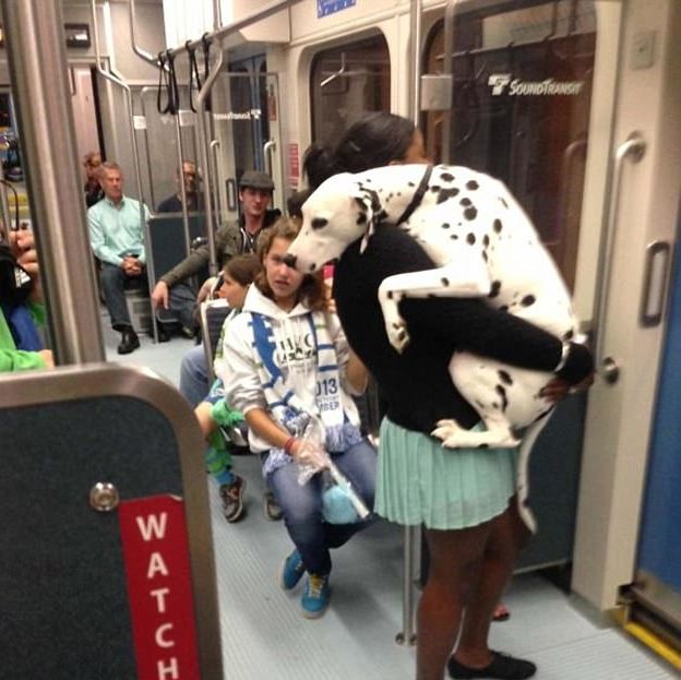Acid Picdump (94 pics)