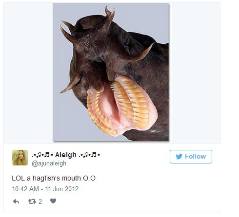 Pictures Of Animal Mouths That Are Absolutely Terrifying (18 pics)