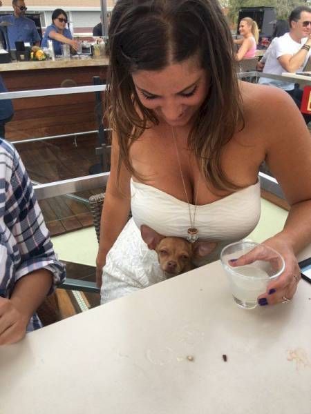 Fun Pics for Adults. Part 162 (52 pics)