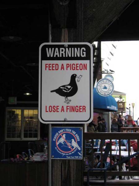 As Long As These Signs Exist Idiots Are Safe (46 pics)