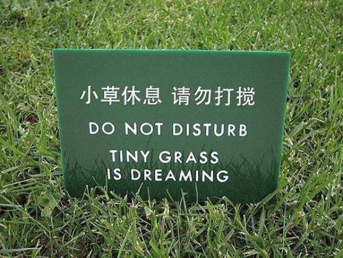 Awesome Signs That Instantly Improved The Neighborhood (28 pics)