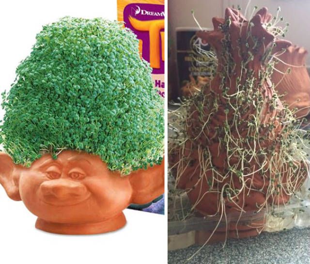 People Who Won't Ever Doubt That Online Shopping Is Risky Again (20 pics)