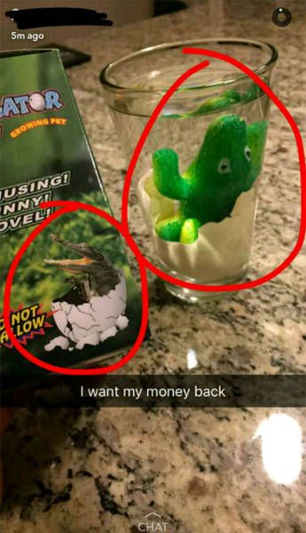 People Who Won't Ever Doubt That Online Shopping Is Risky Again (20 pics)