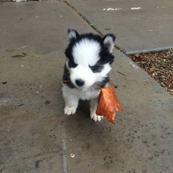 You Can't Sum Up These Awesome Photos With Just A Thousand Words (40 pics)