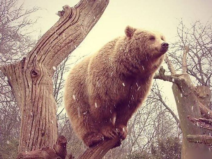 You Can't Sum Up These Awesome Photos With Just A Thousand Words (40 pics)
