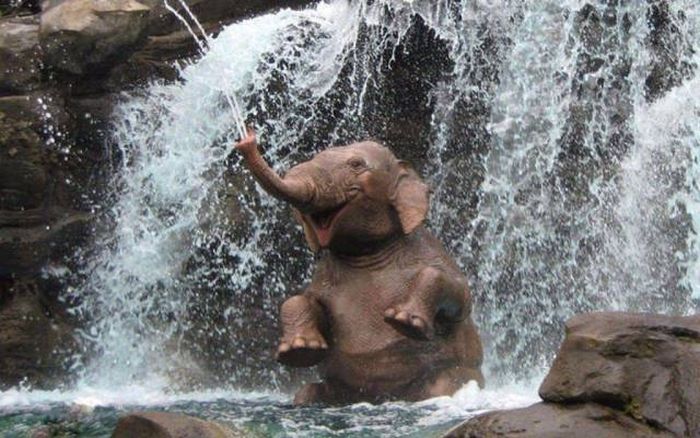 You Can't Sum Up These Awesome Photos With Just A Thousand Words (40 pics)
