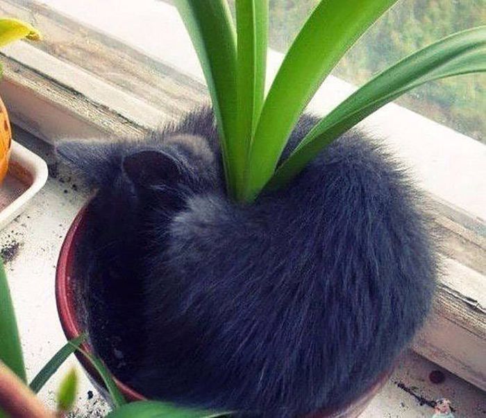 You Can't Sum Up These Awesome Photos With Just A Thousand Words (40 pics)