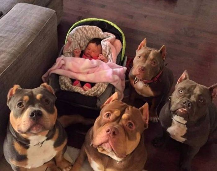 You Can't Sum Up These Awesome Photos With Just A Thousand Words (40 pics)