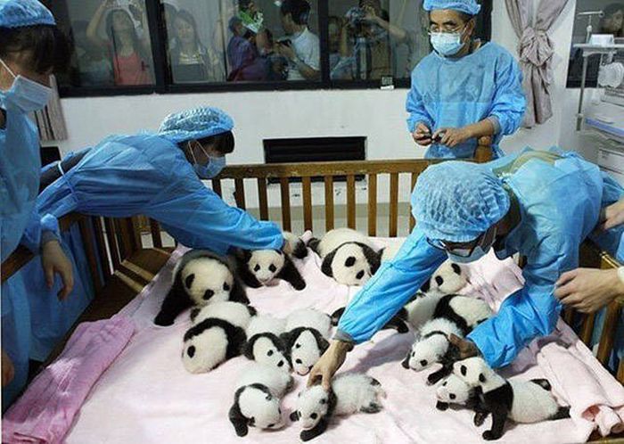 You Can't Sum Up These Awesome Photos With Just A Thousand Words (40 pics)