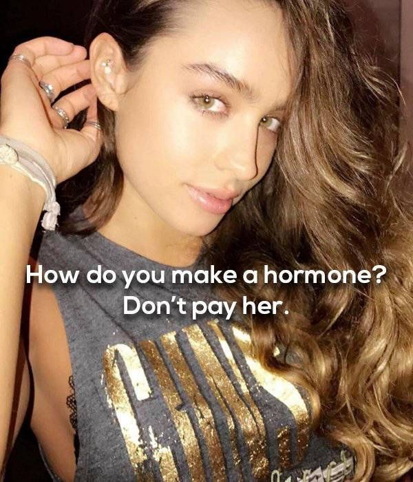 Sexy Girls Mixed With Spicy Humor Is A Great Combination (24 pics)