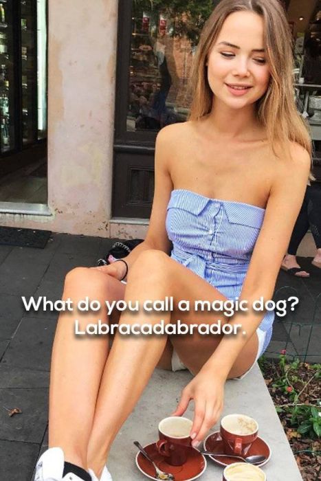 Sexy Girls Mixed With Spicy Humor Is A Great Combination (24 pics)