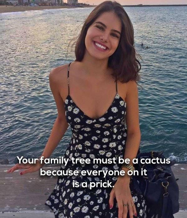 Sexy Girls Mixed With Spicy Humor Is A Great Combination (24 pics)