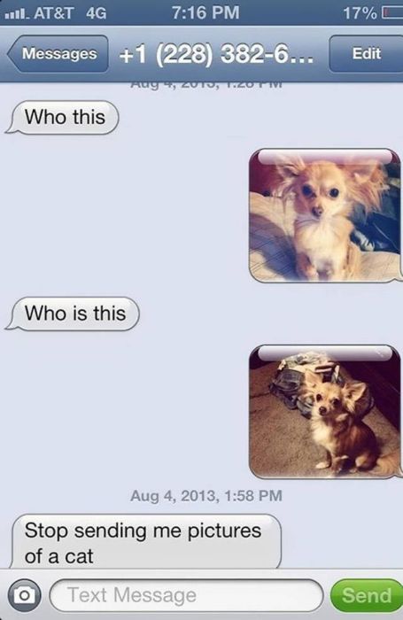 Wrong Number Texts That Are Hilariously Awful (24 pics)