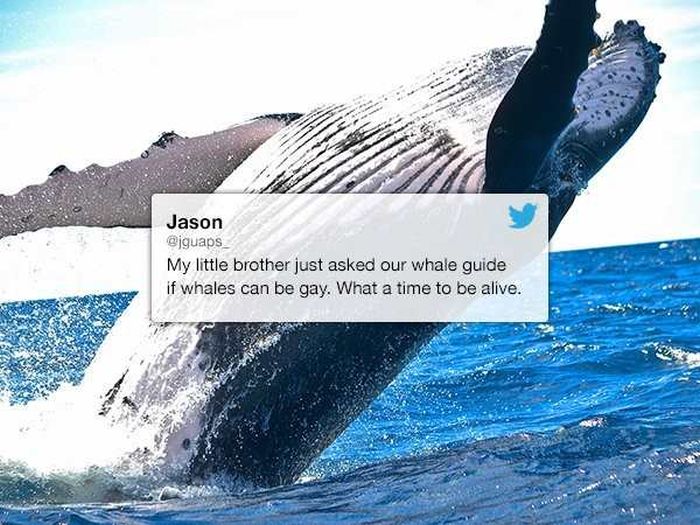 Weird Questions Kids Weren't Afraid To Ask (15 pics)