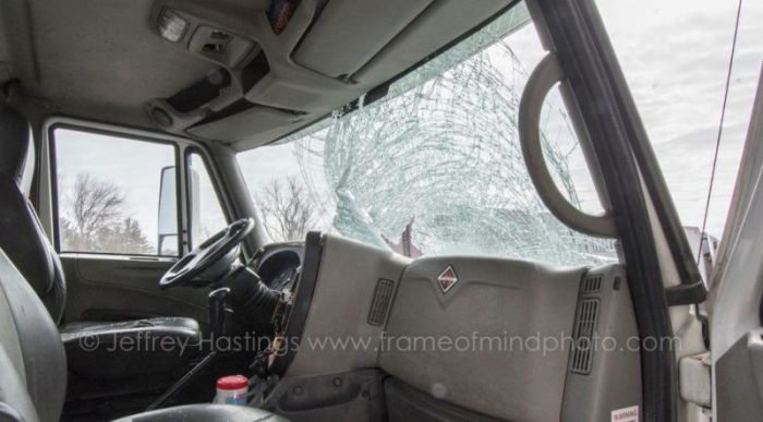 Turkey Goes Flying Through The Windshield Of A Truck (4 pics)