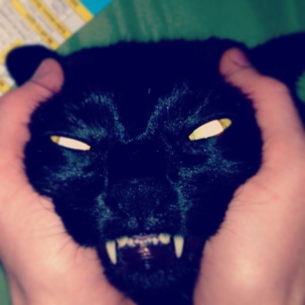 Proof That Cats Truly Are Demons (38 pics)