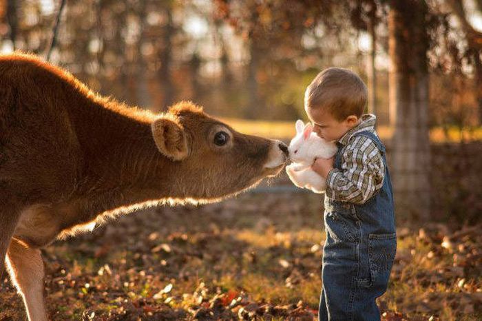 Kids Are The Most Sincere Creatures On The Planet (45 pics)