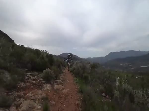 Insane Footage Of Cyclist Getting Attacked By Bees