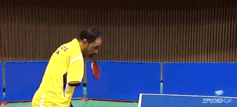 Ping Pong Is Harder Than It Looks (19 gifs)