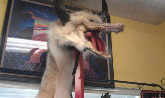 You Have To Wonder How Thrift Shops Ever Find This Stuff (25 pics)