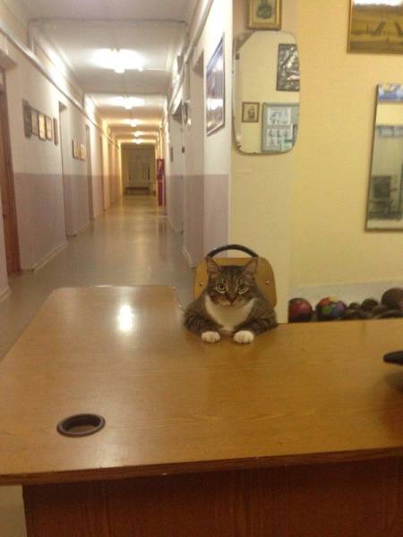 Acid Picdump (105 pics)