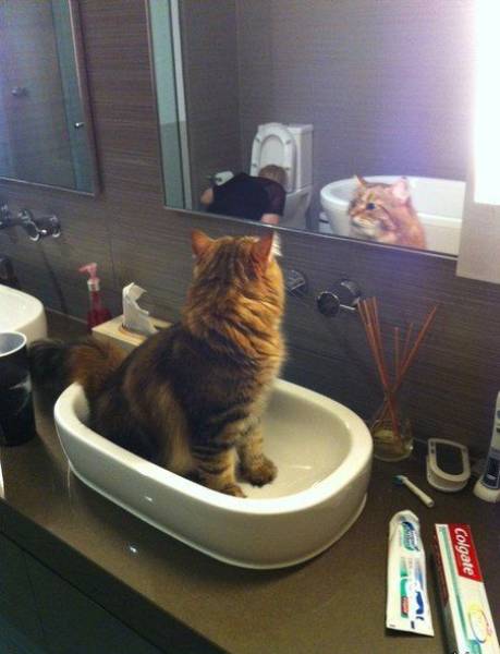 Acid Picdump (105 pics)