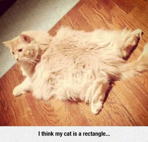 Acid Picdump (105 pics)
