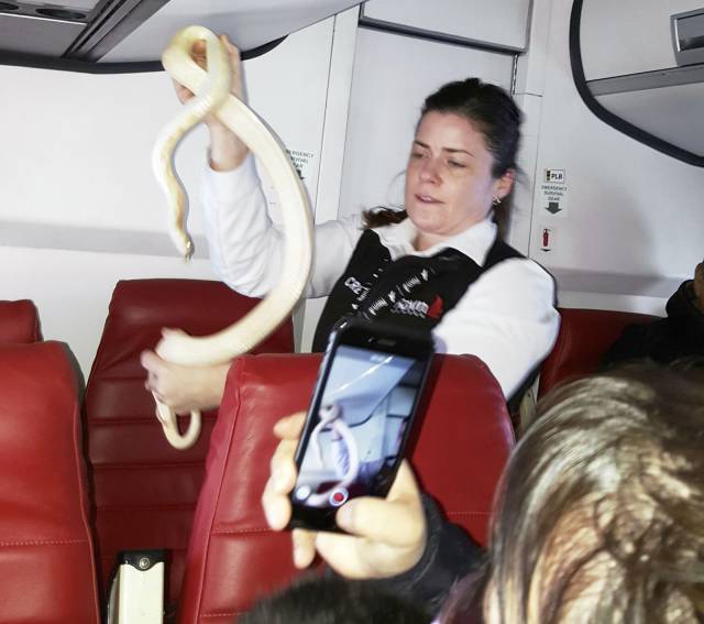 Acid Picdump (105 pics)