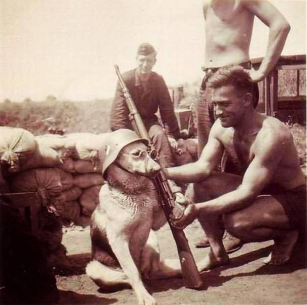 Acid Picdump (105 pics)