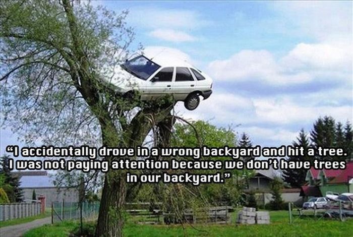 Strange Insurance Claims That Will Crack You Up (22 pics)