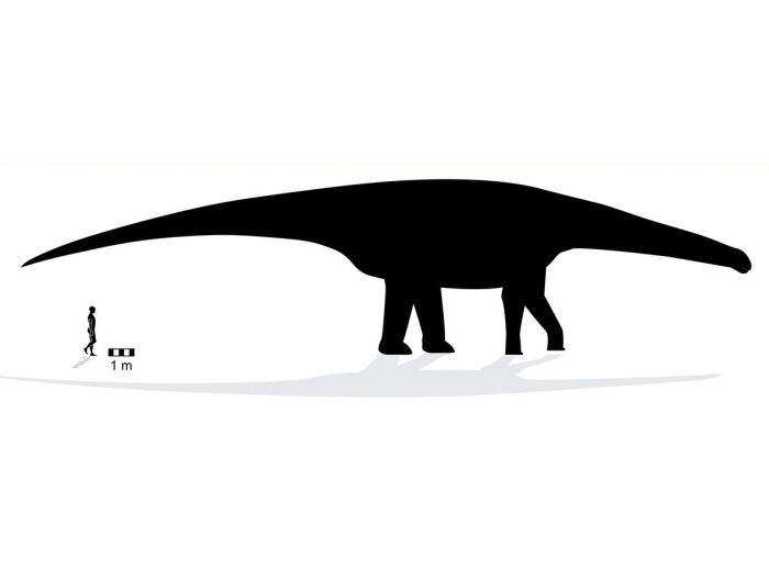 World’s Largest Dinosaur Footprint Uncovered In Australia (4 pics)