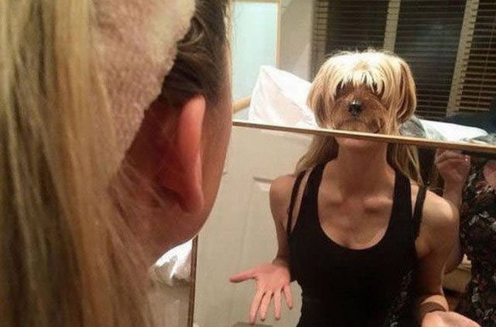 Photos That Come Complete With A Twist (47 pics)