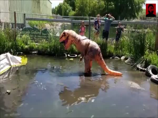 Desperate Guy Tries To Befriend An Alligator