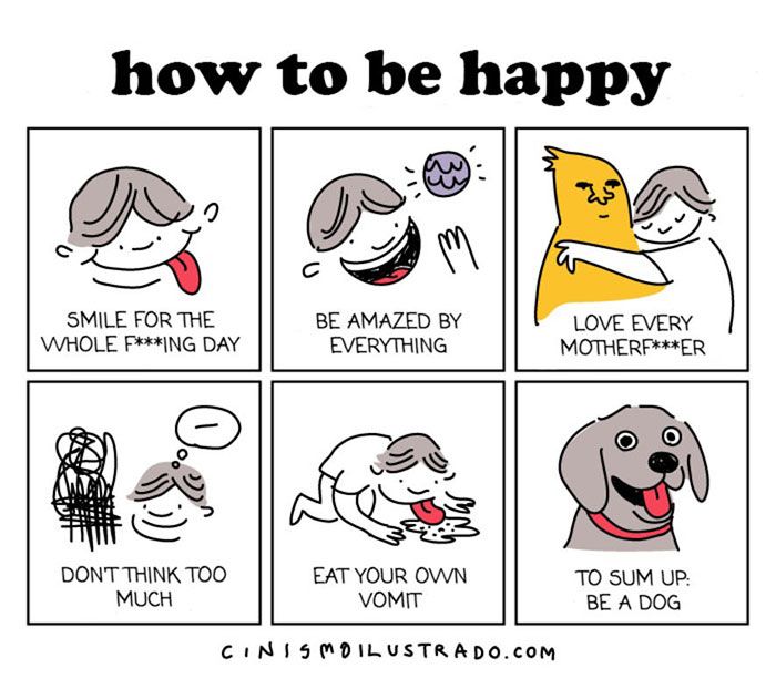 Comics About Happiness (10 pics)