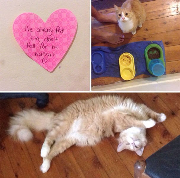 Love Notes (45 pics)