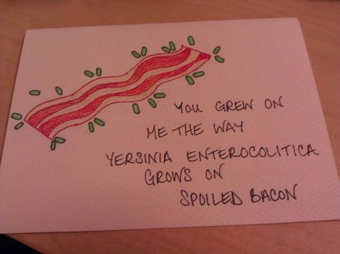 Love Notes (45 pics)