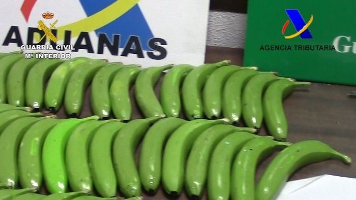 Spanish Police Found Cocaine In A Batch Of Fake Bananas (6 pics)