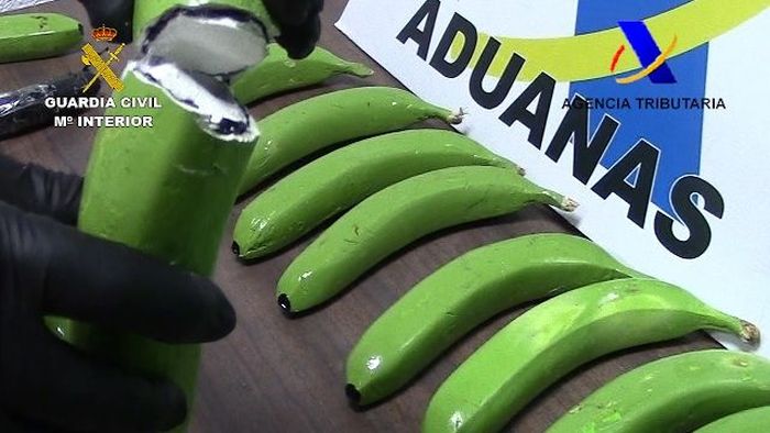 Spanish Police Found Cocaine In A Batch Of Fake Bananas (6 pics)