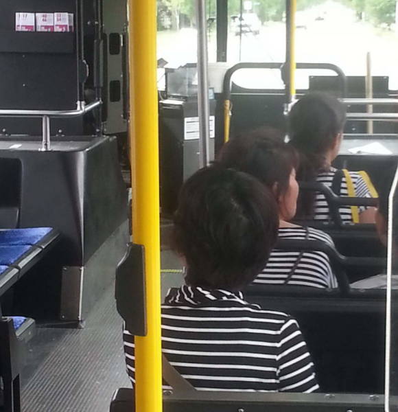 When The Universe Decides To Use Copy And Paste (43 pics)