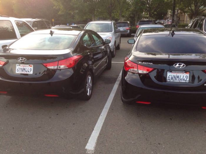 When The Universe Decides To Use Copy And Paste (43 pics)
