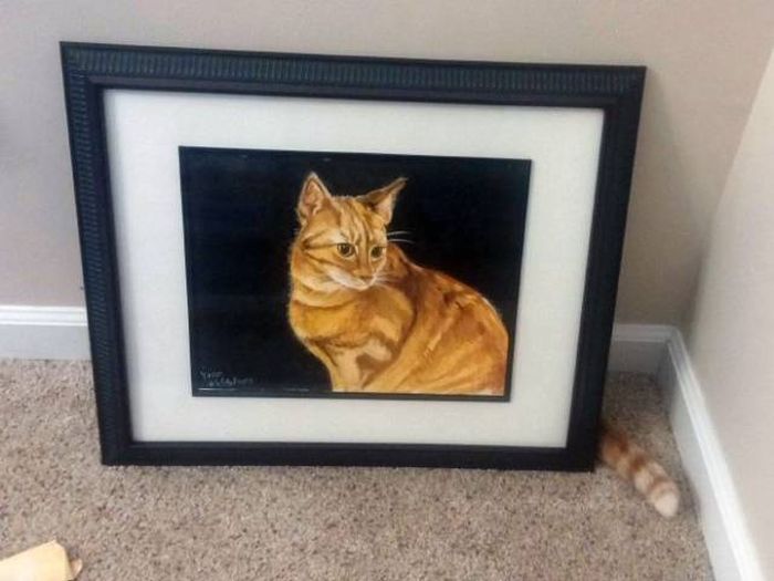 When The Universe Decides To Use Copy And Paste (43 pics)