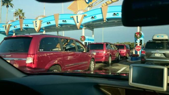 When The Universe Decides To Use Copy And Paste (43 pics)