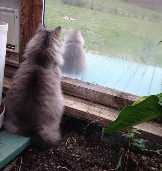 When The Universe Decides To Use Copy And Paste (43 pics)