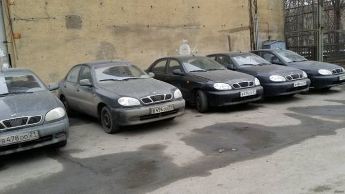 When The Universe Decides To Use Copy And Paste (43 pics)