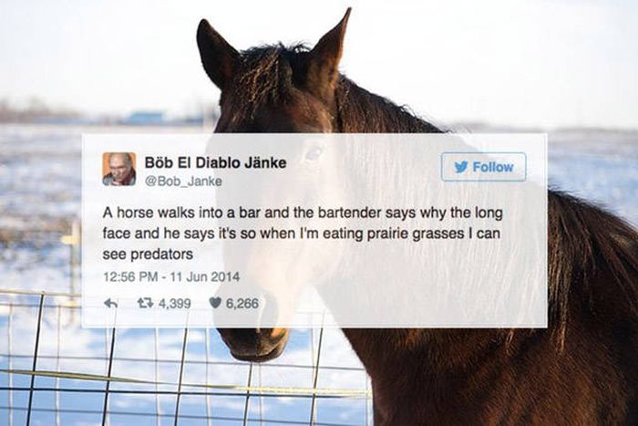 Hilarious Tweets That Are Absolutely Perfect (32 pics)