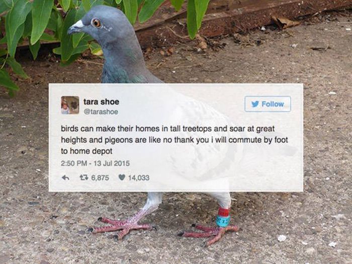 Hilarious Tweets That Are Absolutely Perfect (32 pics)