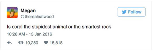 Hilarious Tweets That Are Absolutely Perfect (32 pics)