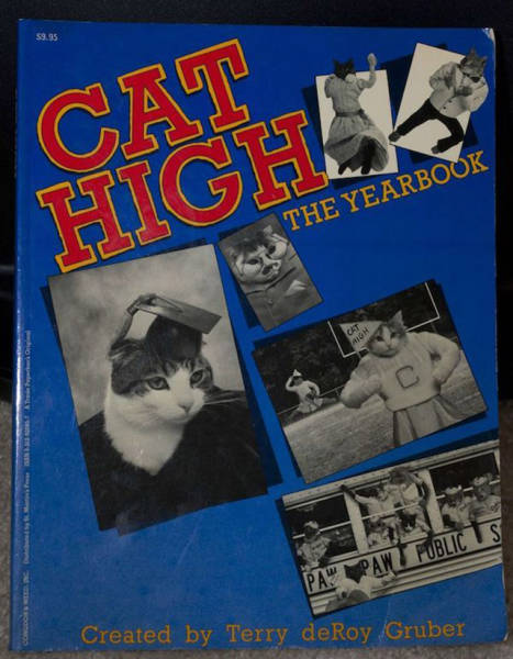 There's Something Seriously Wrong With These Thrift Shops (32 pics)