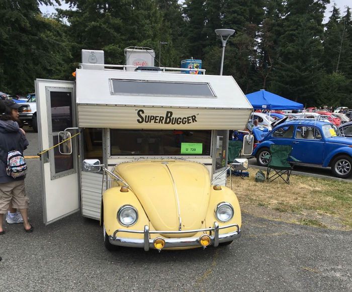 Volkswagen Bugs Also Make Awesome Campers (7 pics)