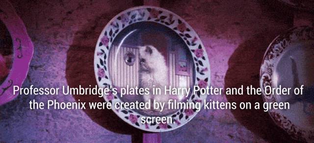 Creators Of The Harry Potter Series Must Have Used Magic (70 pics)